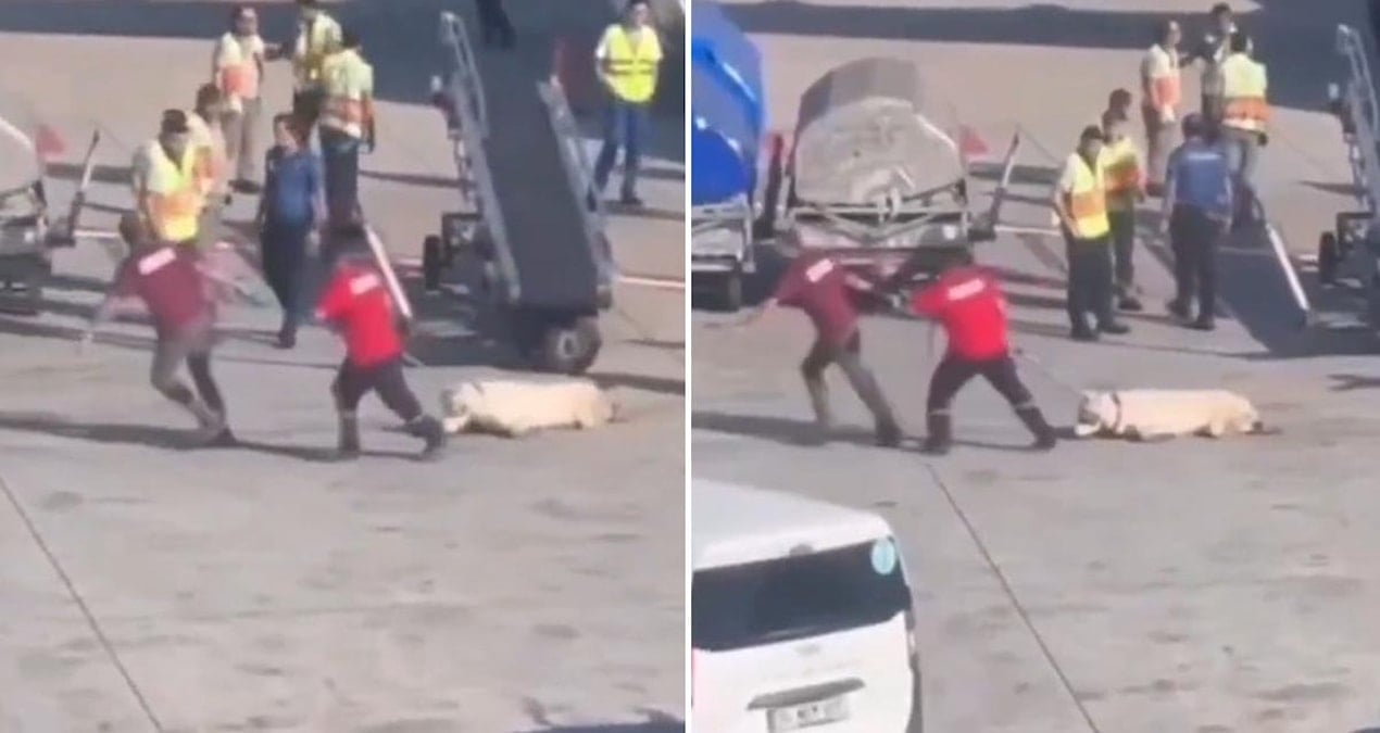 İstanbul Havalimanı’ndaki görüntülerle ilgili skandal iddia