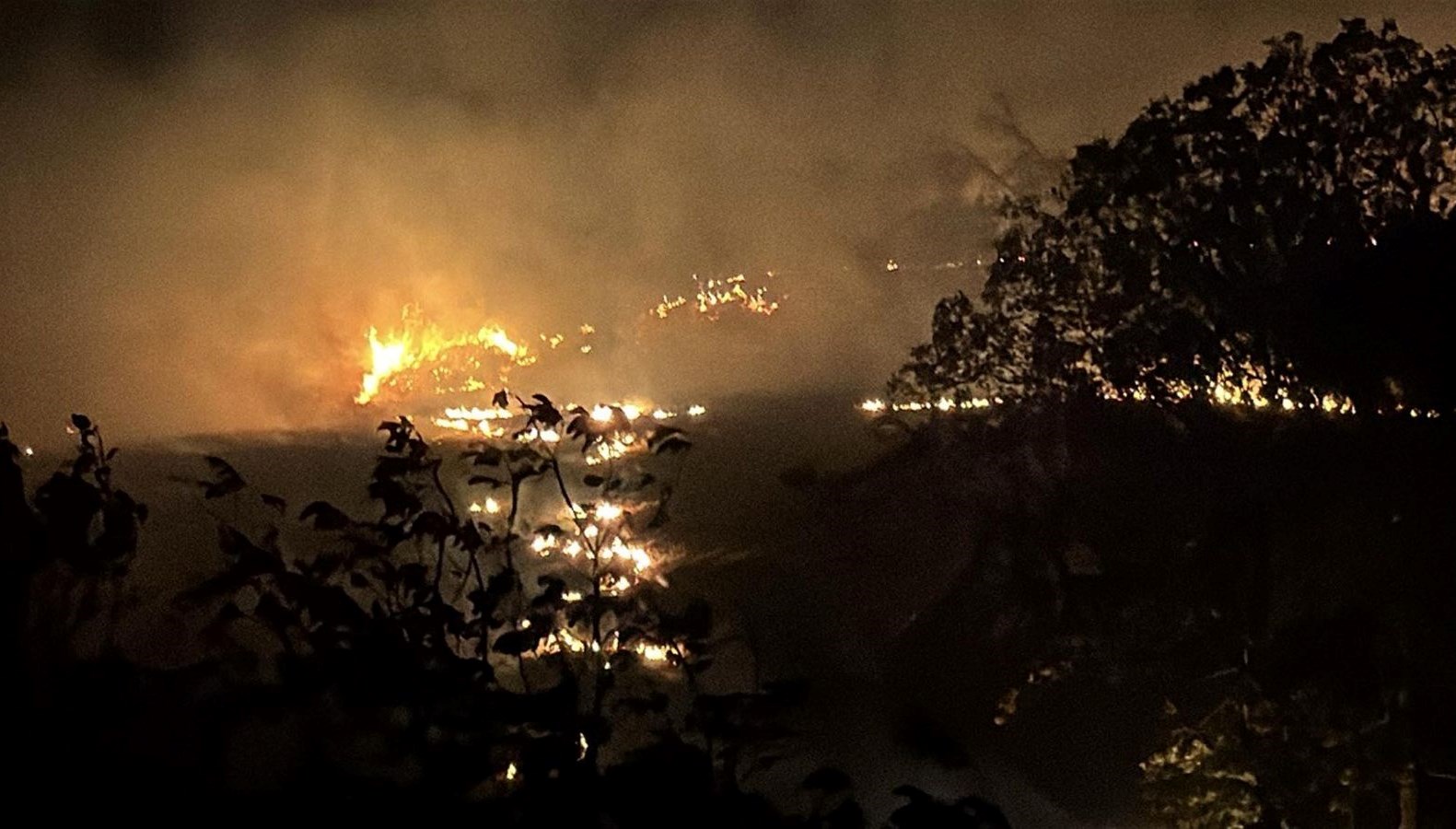 Tekirdağ’da anız yangını: Yerleşim yerine ulaşmadan söndürüldü