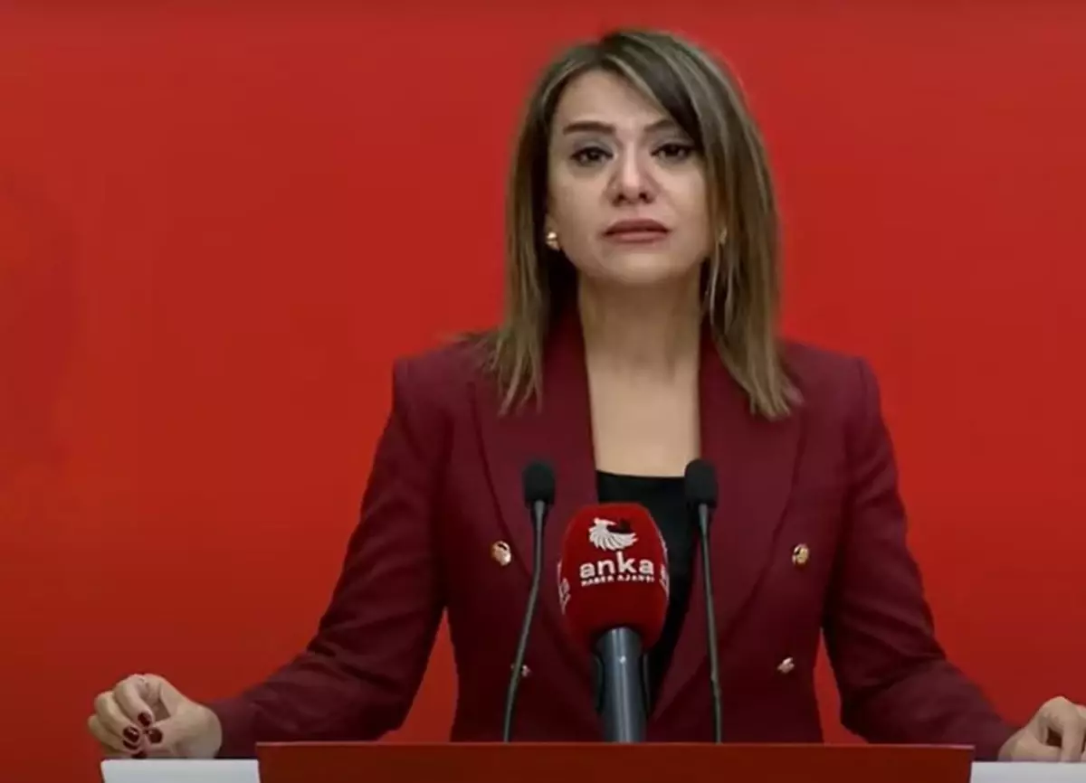 CHP’li Taşcıer: Sayıştay Raporları Pembe Raporlar Olmaya Dönüştü