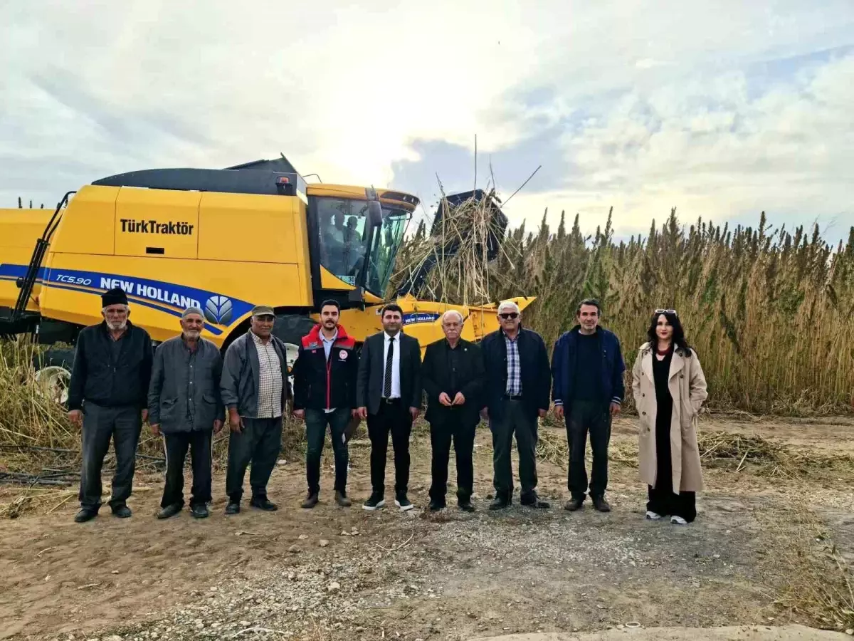 Kulu’da Endüstriyel Kenevir Hasadı Başladı