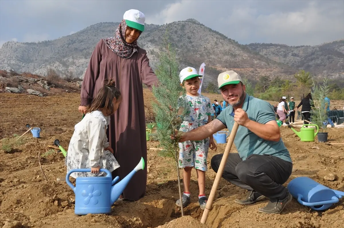 Silifke’de Orman Yangınında Zarar Gören Alan Yeniden Yeşeriyor