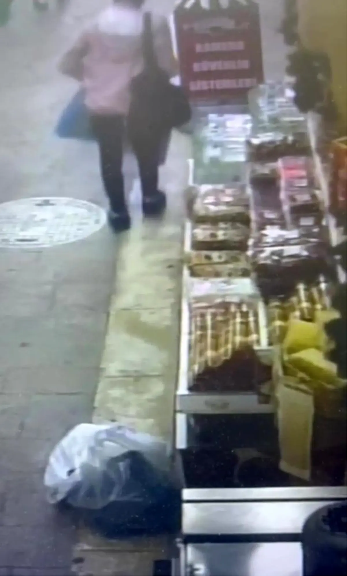 Zonguldak’ta Ceviz Hırsızlığı