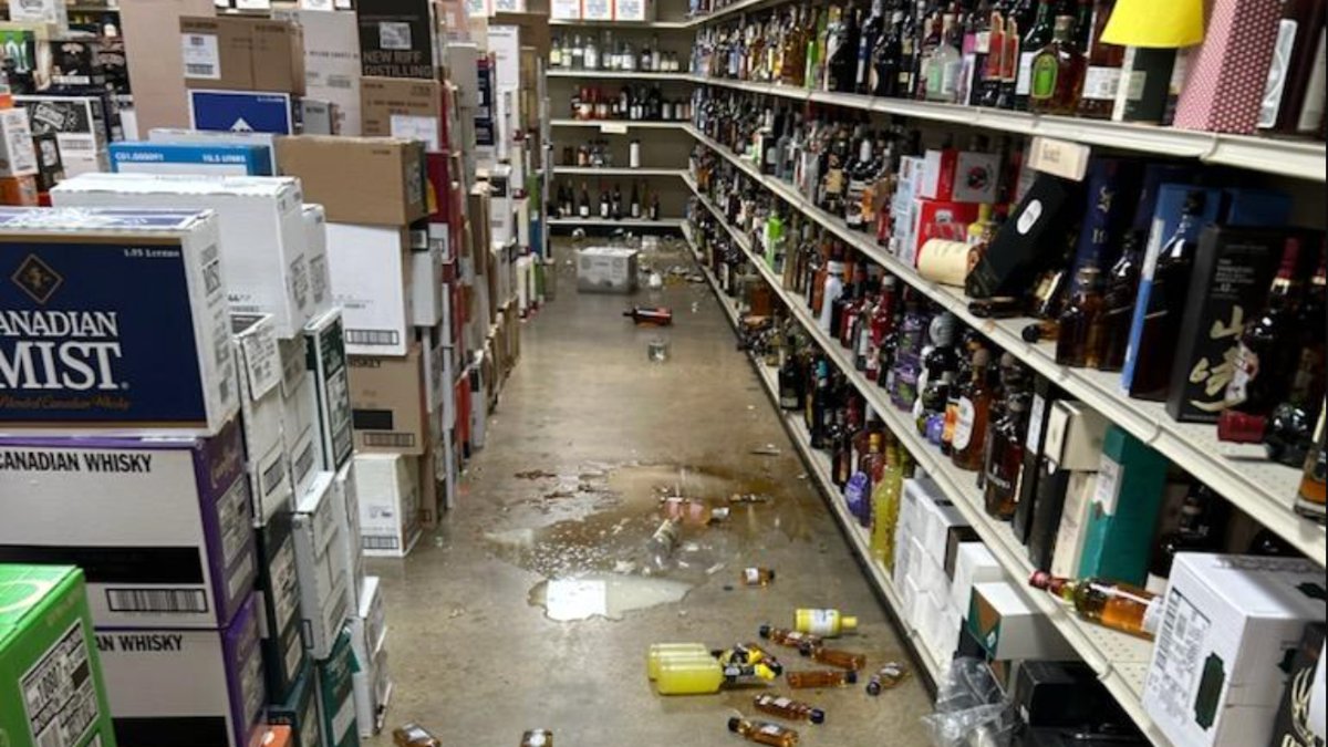 ABD’de içki dükkanına giren rakun sarhoş olup sızdı