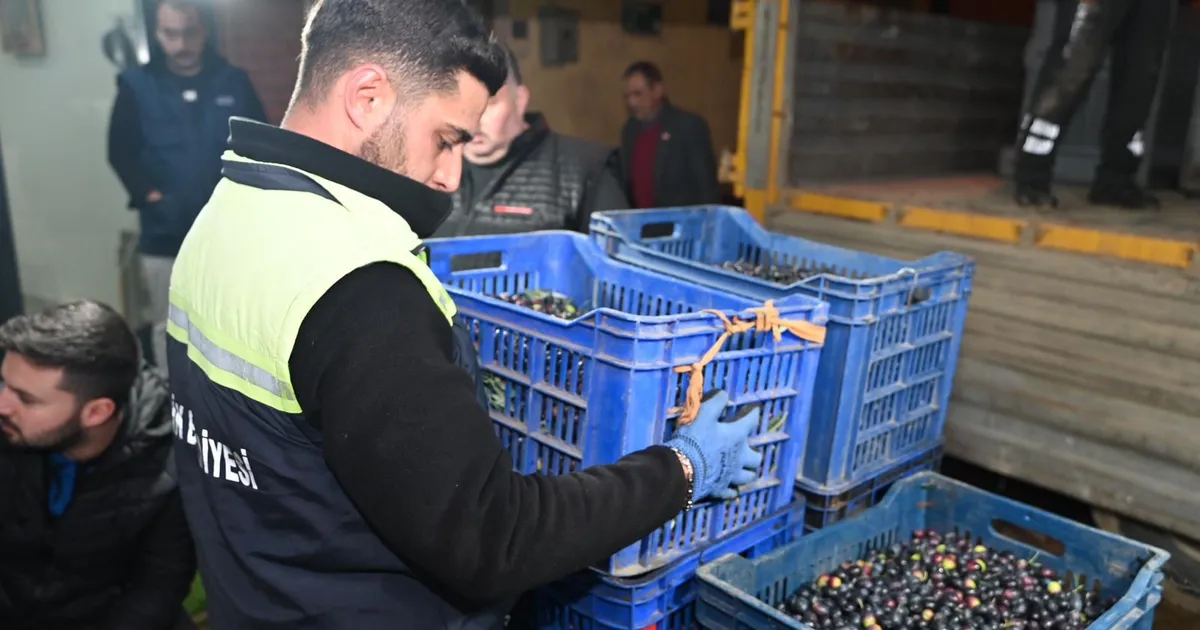 Bursa Gemlik Belediyesi’nden üreticiye destek