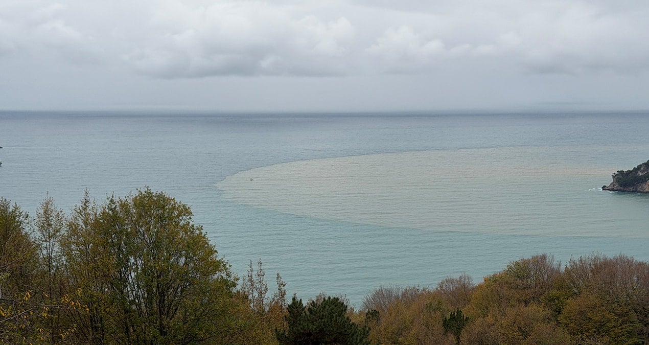 Denizin rengi kahverengiye döndü