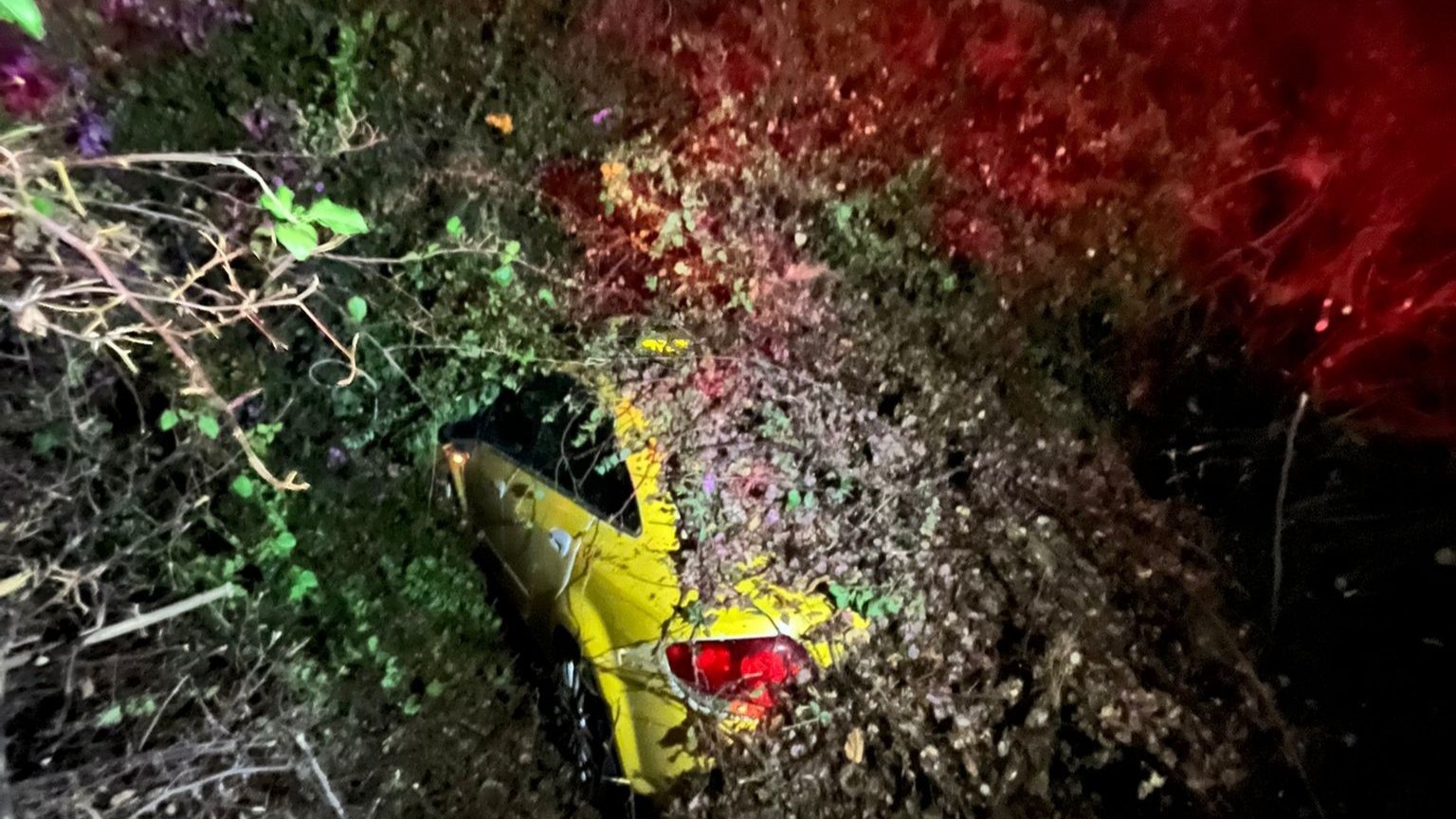 Seyir halindeki taksi, devrilen ağacın altında kaldı