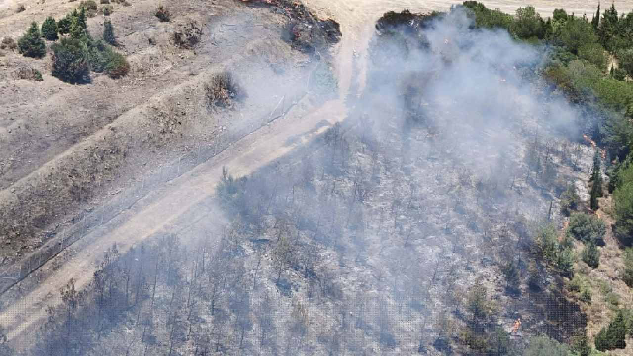 Izmirde kabus alevler hizla yayilip ormana sicradi fvRiUBWS